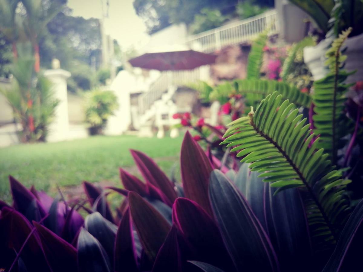 Anna Shanthi Villa Kandy Exteriér fotografie