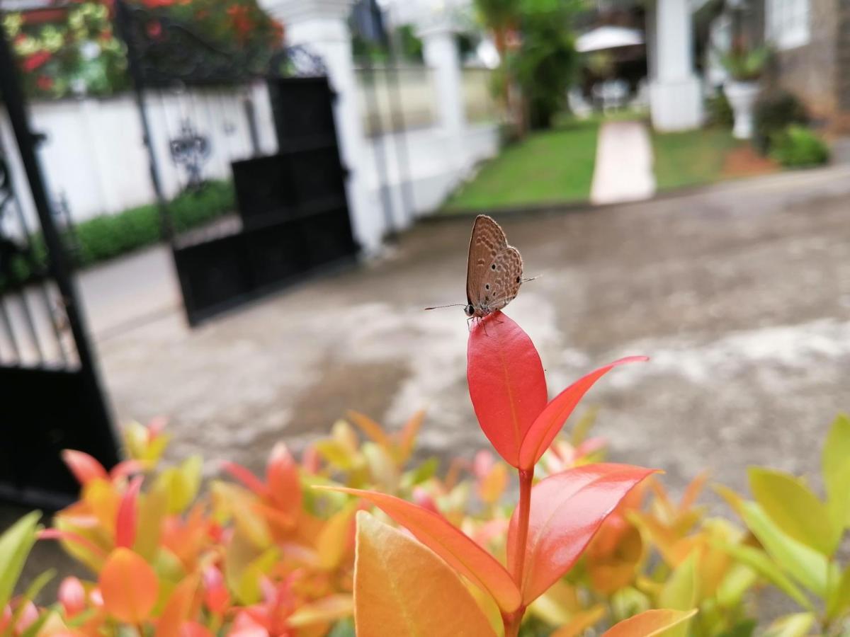Anna Shanthi Villa Kandy Exteriér fotografie
