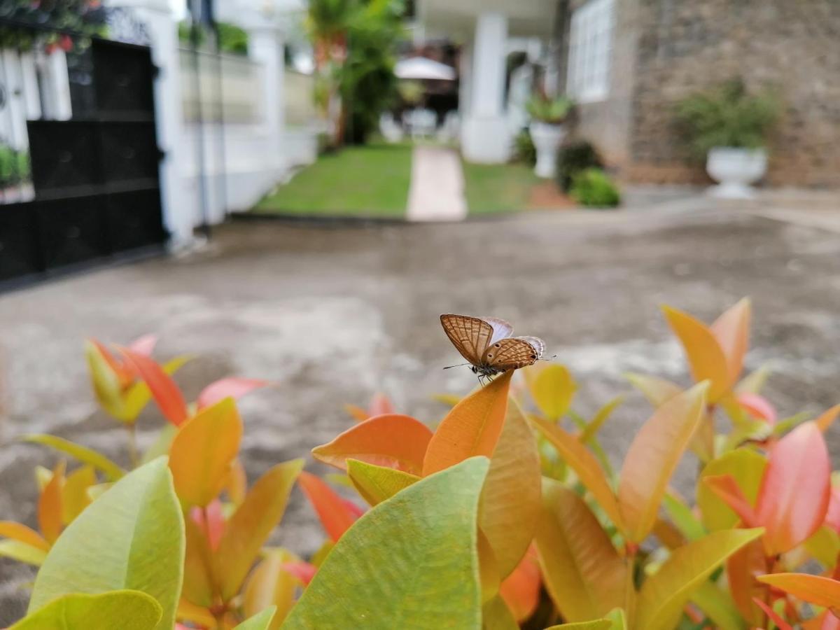 Anna Shanthi Villa Kandy Exteriér fotografie