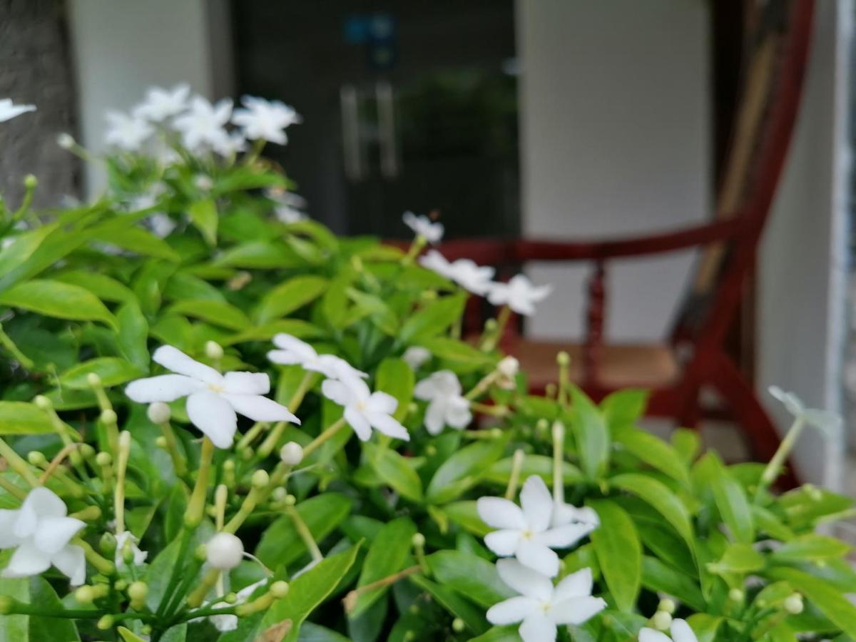 Anna Shanthi Villa Kandy Exteriér fotografie